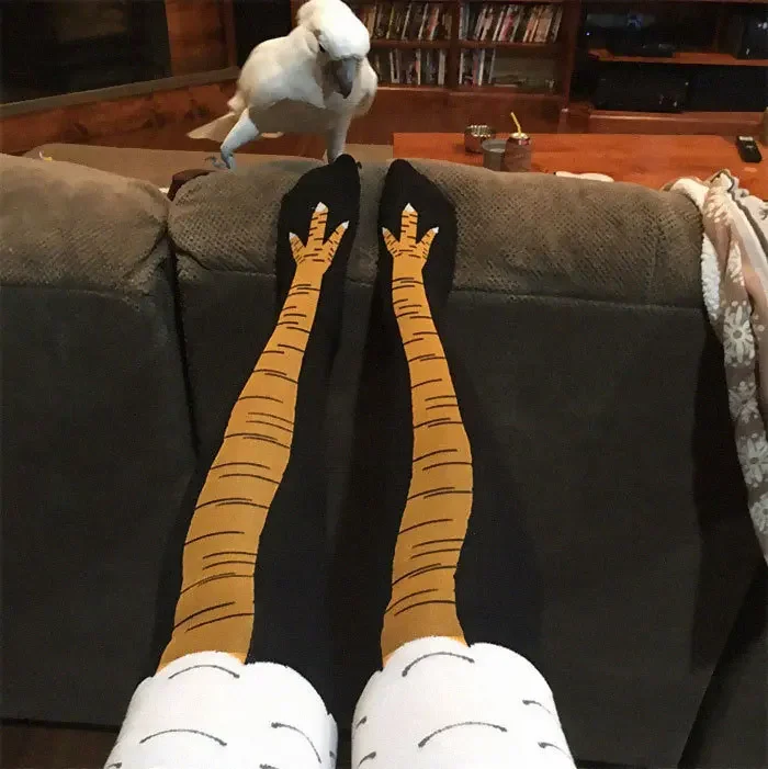 40Pairs 3D Funny Chicken Claw  - Funny Chicken Leg Socks review and price